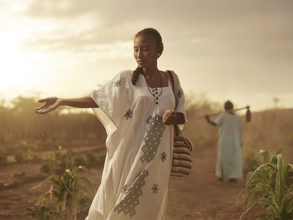 Explorando o Mundo através das Lentes de Joey L.