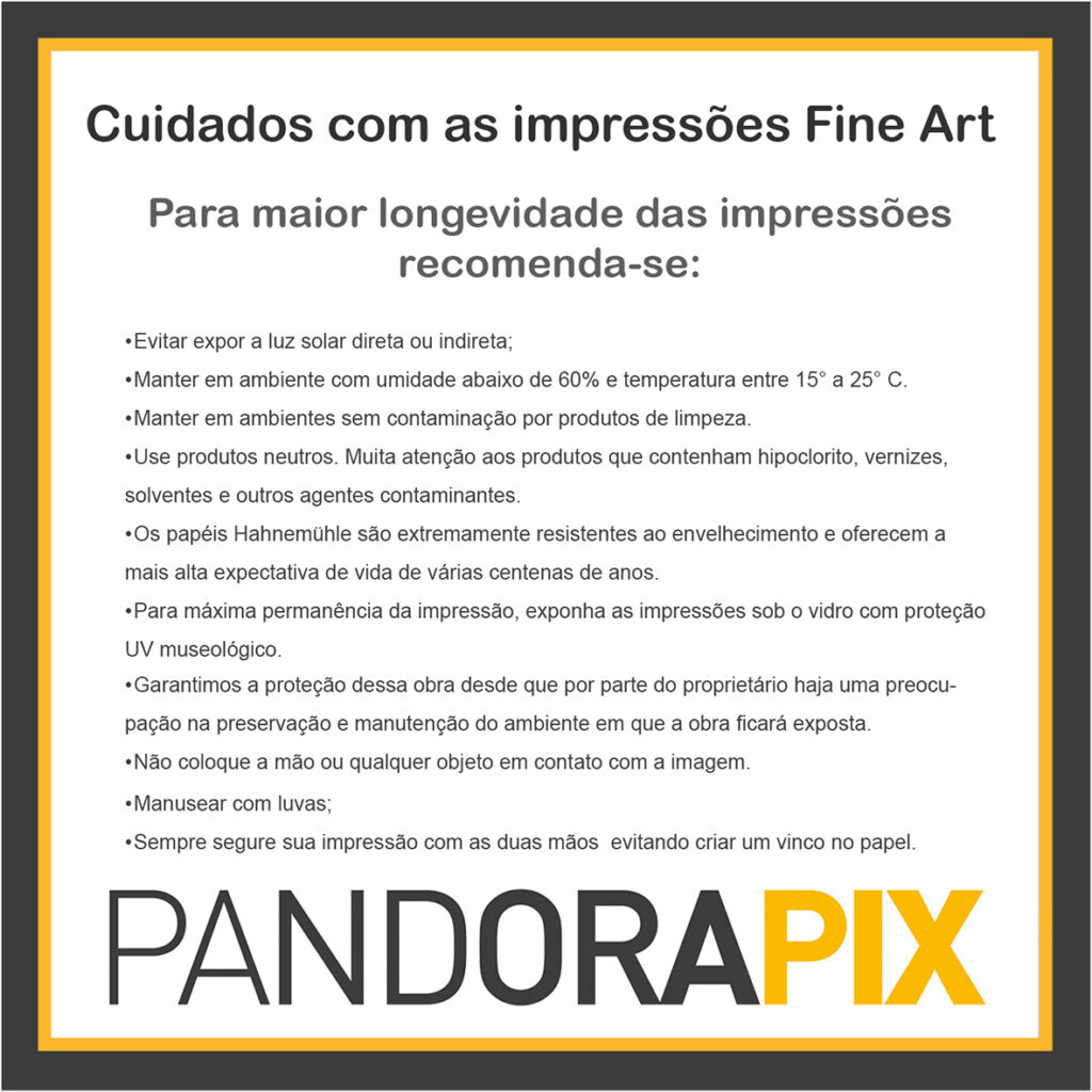 Cuidados Essenciais para Impressões Fine Art Duradouras