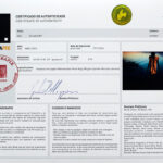 Certificado da obra de Gustavo Pellizzon impressa na PandoraPix