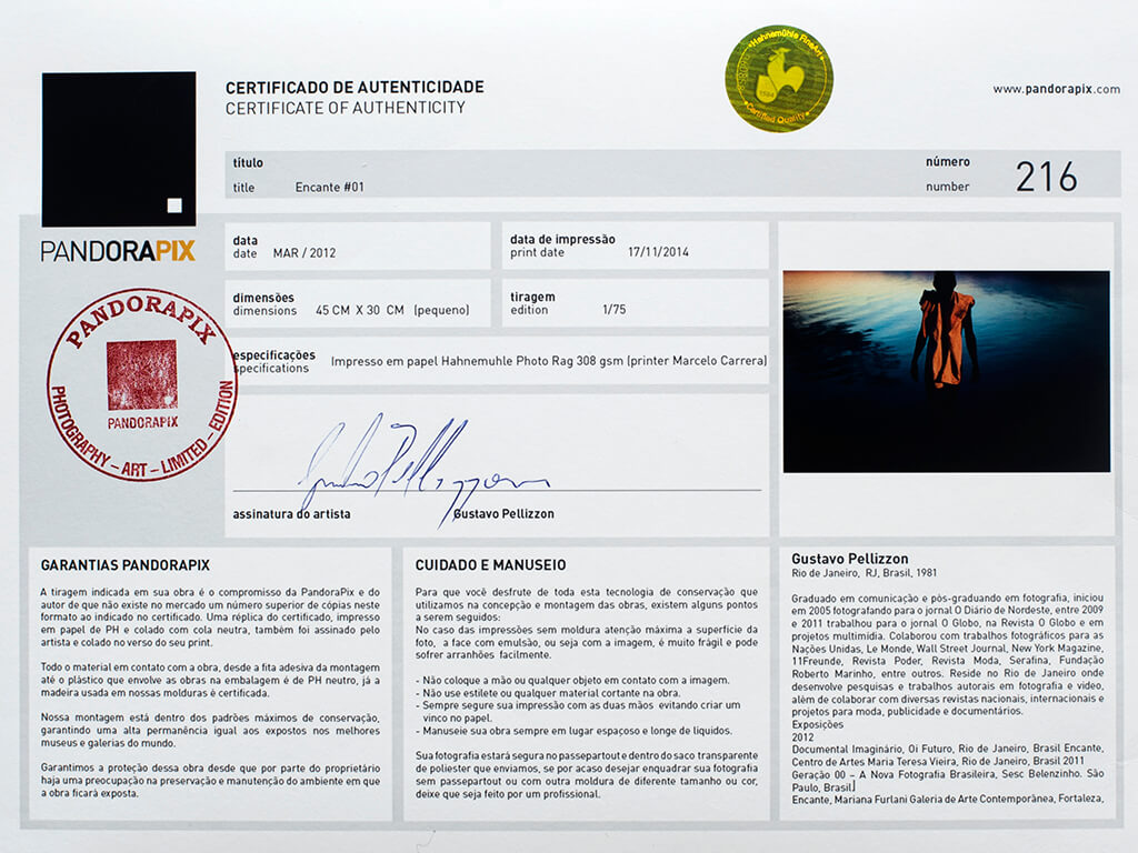 MCM1397 Certificado da obra de Gustavo Pellizzon impressa na PandoraPix