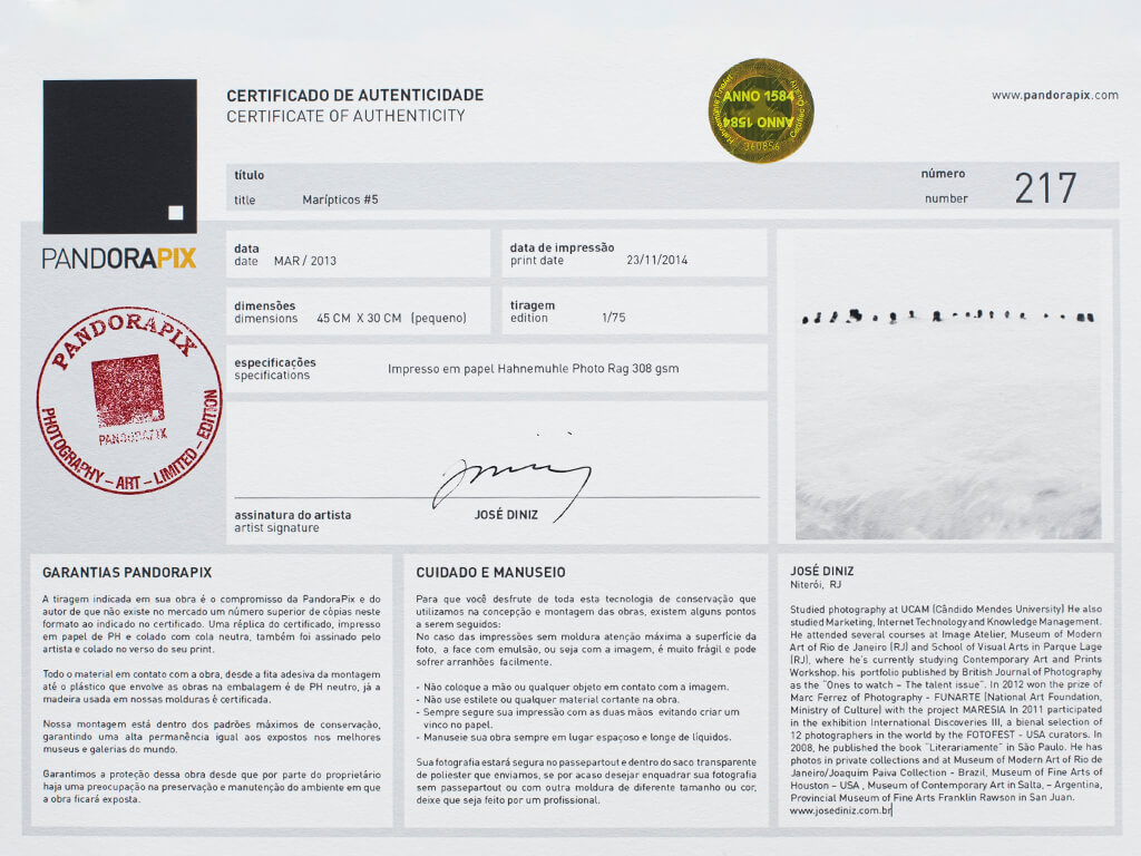 MCM1406 Certificado da obra de José Diniz impressa na PandoraPix