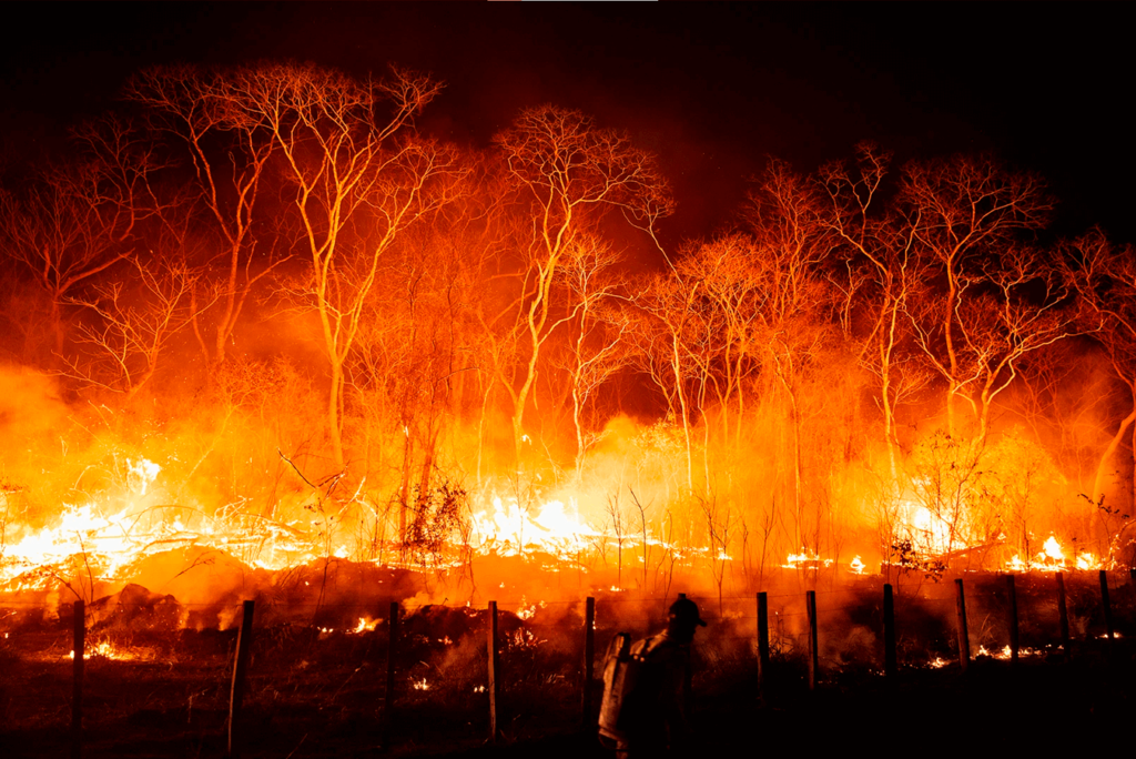 Fotografia em segundo lugar do prêmio FCW de 2022