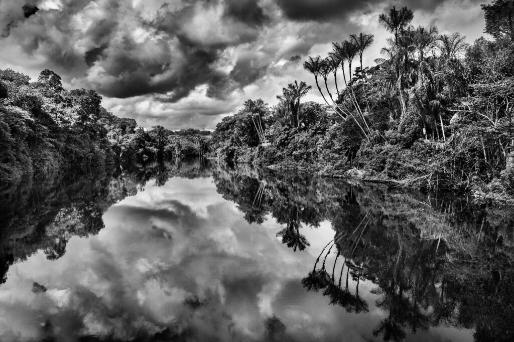 Amazonia – SebastIão Salgado